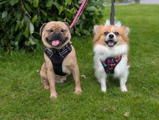 An image of Brodie and Skye smiling at the camera